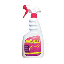 NRG Gloss Arena Coat Shine 500ml