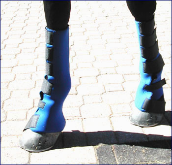 Front Travelling Boots, Neoprene & Velcro