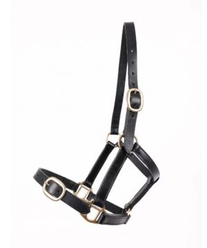 Breeze Up, Leather Headstall