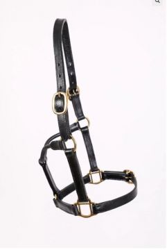 Breeze Up, Leather Headstall, Double Buckle over Poll, Triple Stitch