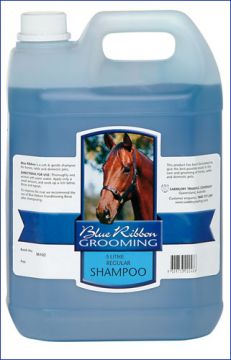 Blue Ribbon Shampoo Regular, 20 Litre