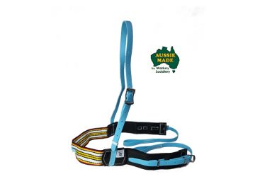 Exercise Webbing Breastplate, BioThane® trim, SS Buckles