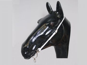 Anti Rearing Straps, 1/2