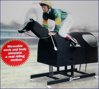 equestrian simulator for sale