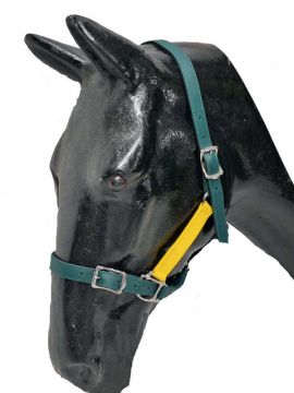 Two Tone BioThane®Headstalls, Leather Lined, SS Buckles