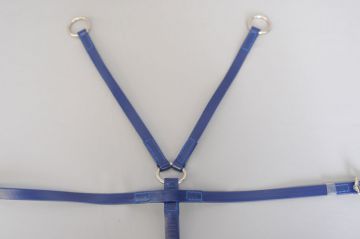 BIOTHANE Exercise Rings, SS Buckles
