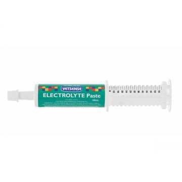 Vetsense Electrolyte Paste 60ml